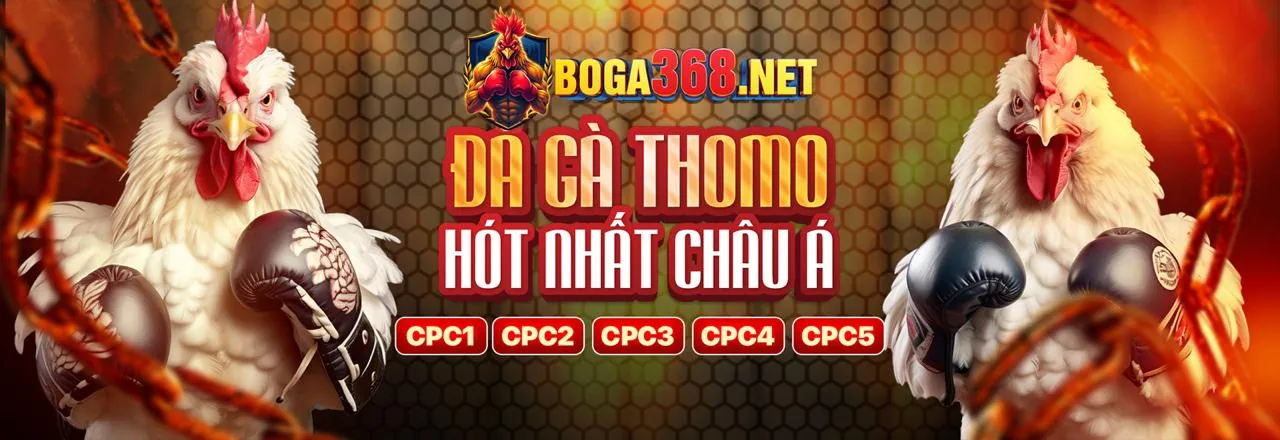 Biểu tượng của tính công bằng và ngẫu nhiên trong game xanh chín
